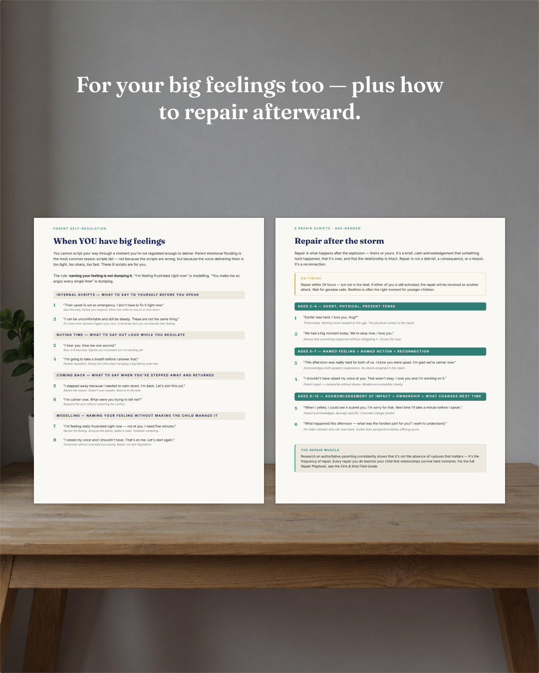 Boundary Scripts For Big Feelings (DIGITAL GUIDE)