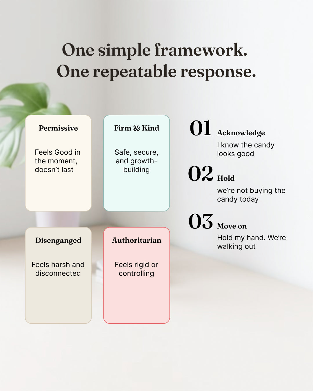 Journey to Firm & Kind Parents (DIGITAL GUIDE)