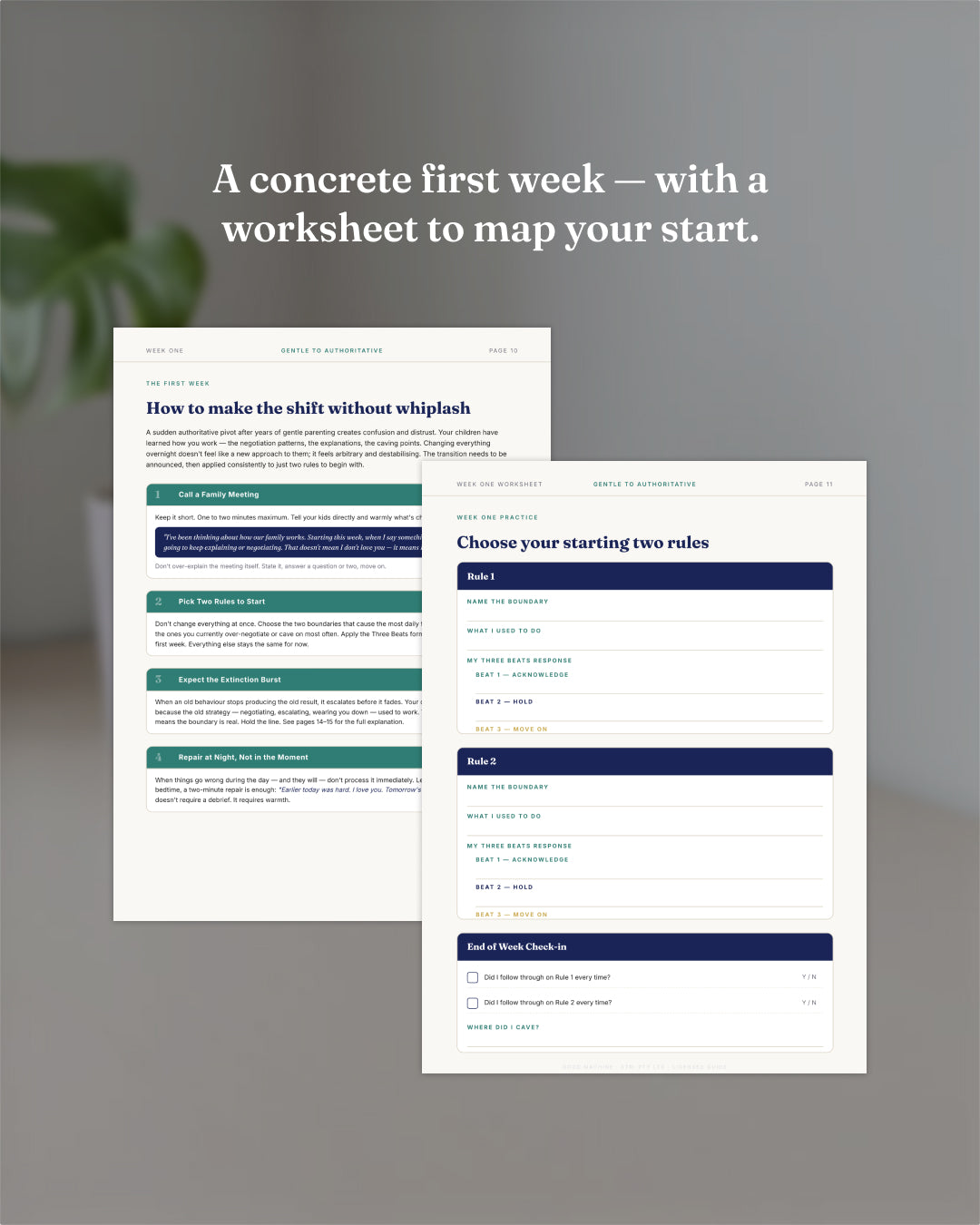 Gentle to Authoritative The Firm & Kind Transition Guide (DIGITAL GUIDE)