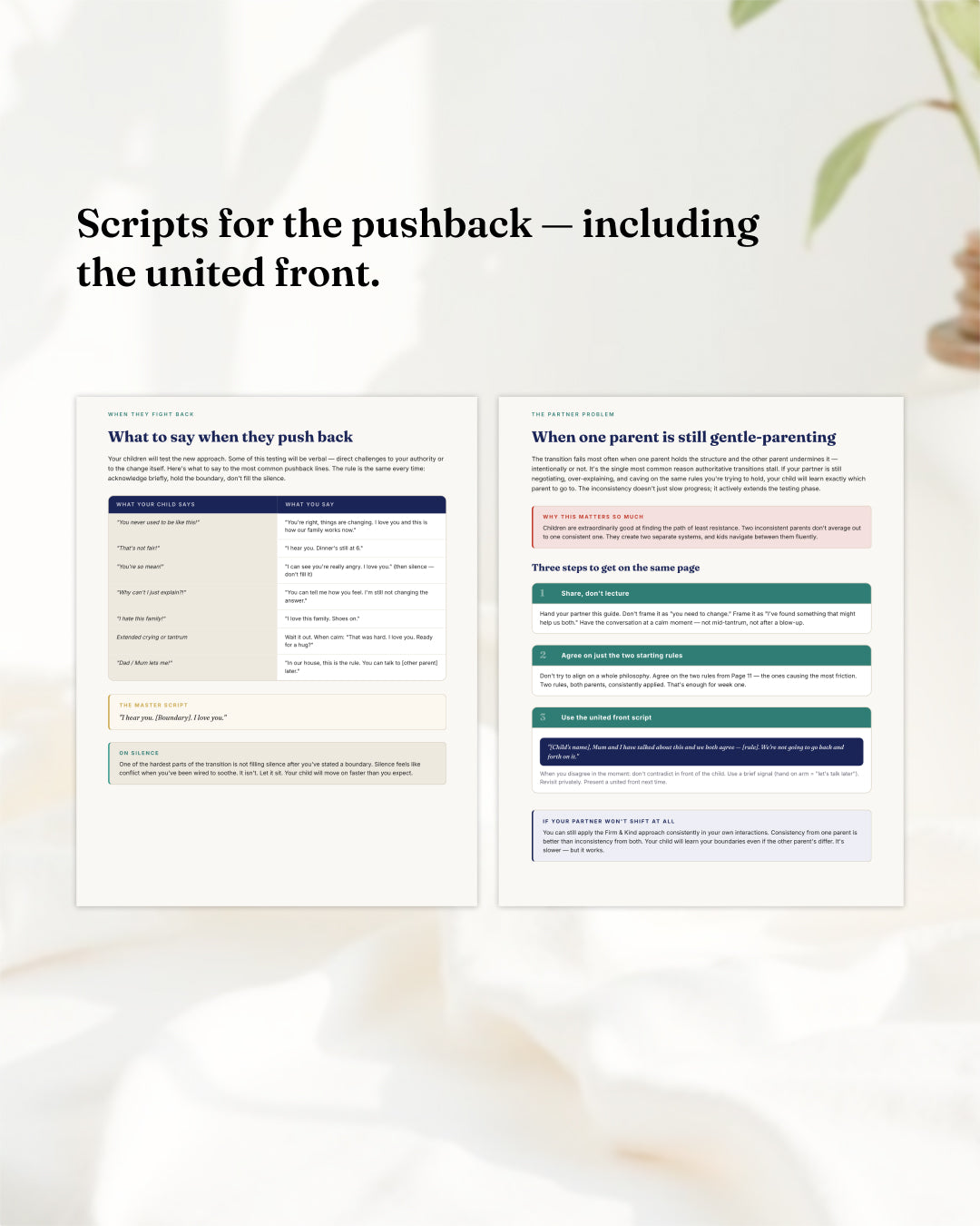 Gentle to Authoritative The Firm & Kind Transition Guide (DIGITAL GUIDE)