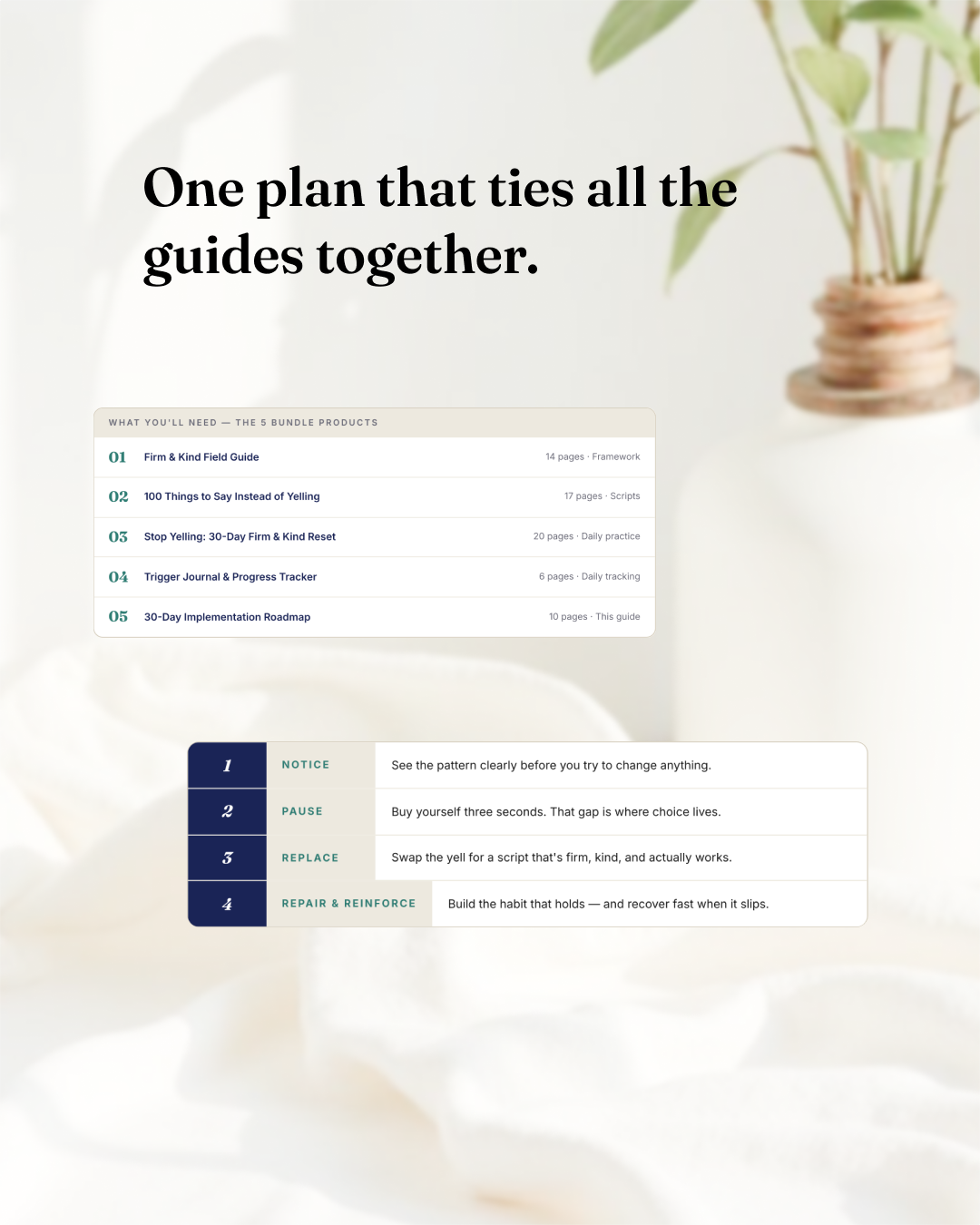 30-Day Implementation Roadmap (DIGITAL GUIDE)