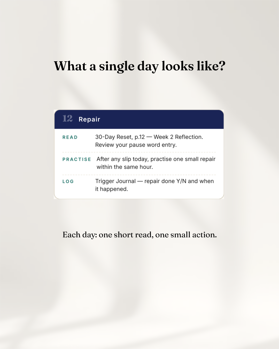 30-Day Implementation Roadmap (DIGITAL GUIDE)