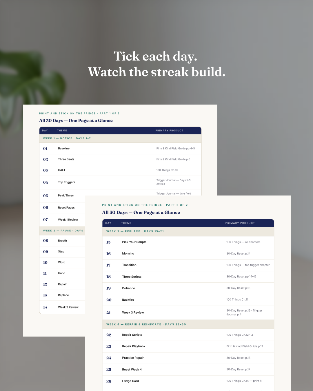 30-Day Implementation Roadmap (DIGITAL GUIDE)