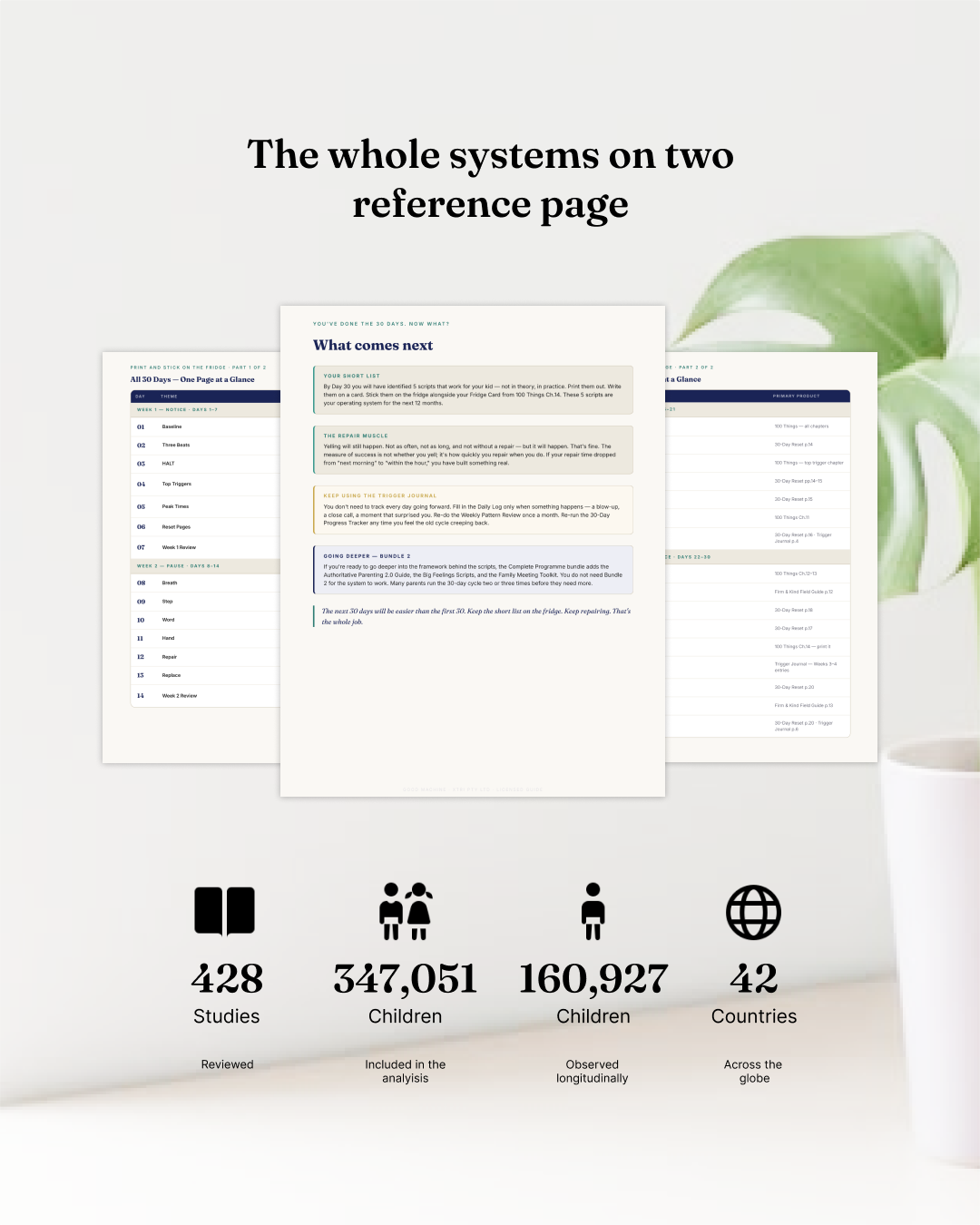 30-Day Implementation Roadmap (DIGITAL GUIDE)