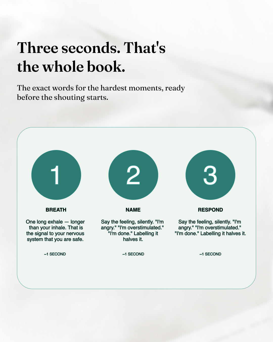 100 Things to Say Instead of Yelling (DIGITAL GUIDE)