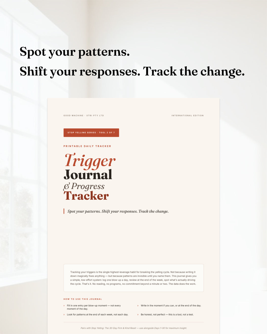 Trigger Journal Progress Tracker (DIGITAL GUIDE)